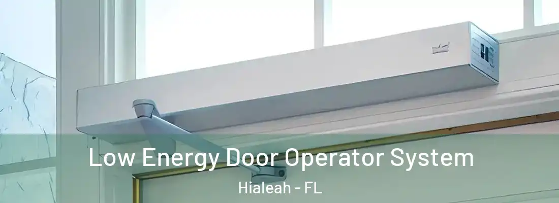  Low Energy Door Operator System Hialeah - FL
